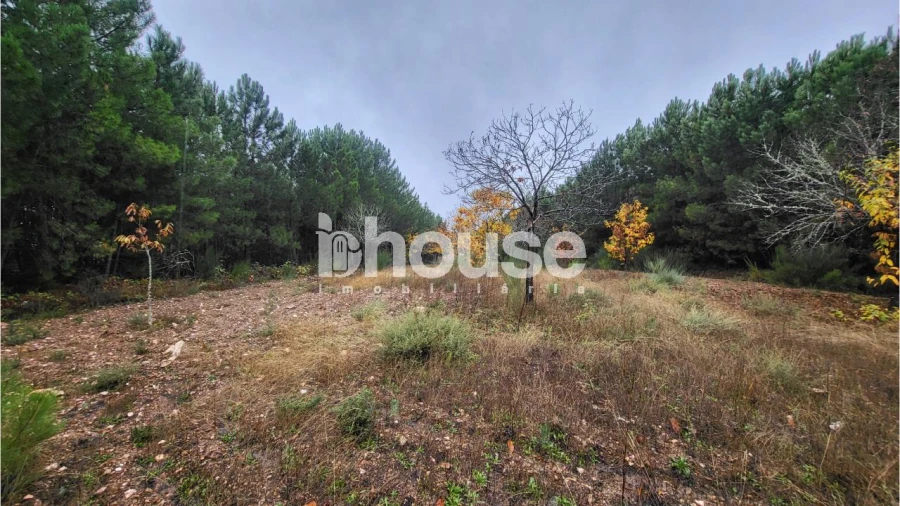 Terreno para Venda em Carrazedo de Montenegro e Curros Foto 2