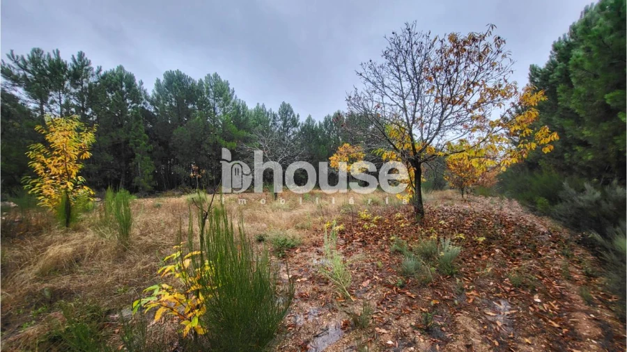 Terreno para Venda em Carrazedo de Montenegro e Curros Foto 6