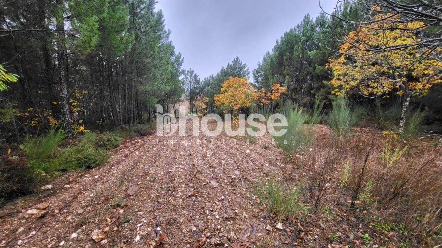 Terreno para Venda em Carrazedo de Montenegro e Curros Foto 8