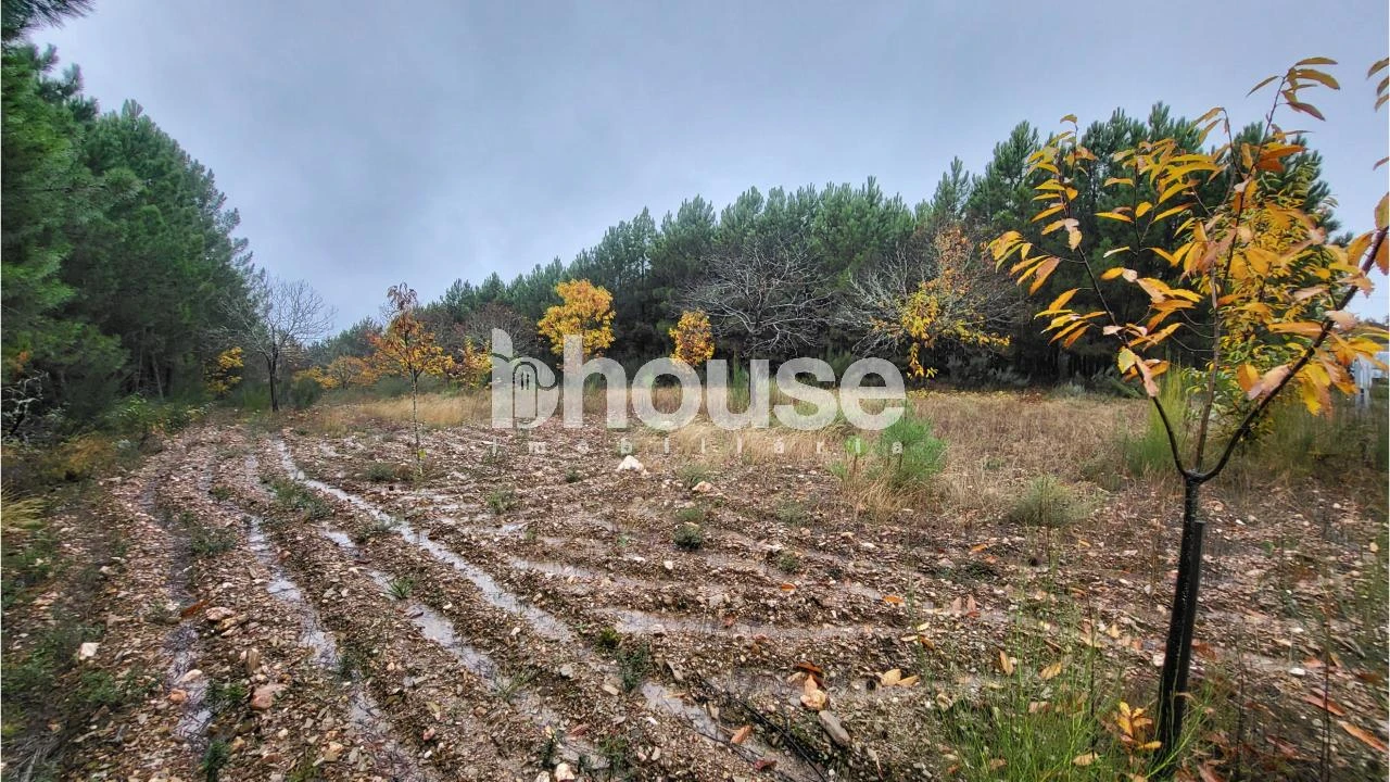Terreno para Venda em Carrazedo de Montenegro e Curros Foto 3