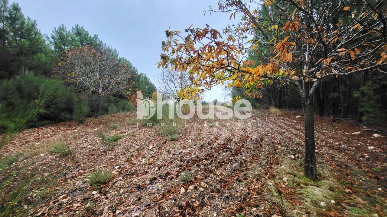 Terreno para Venda em Carrazedo de Montenegro e Curros Foto 4