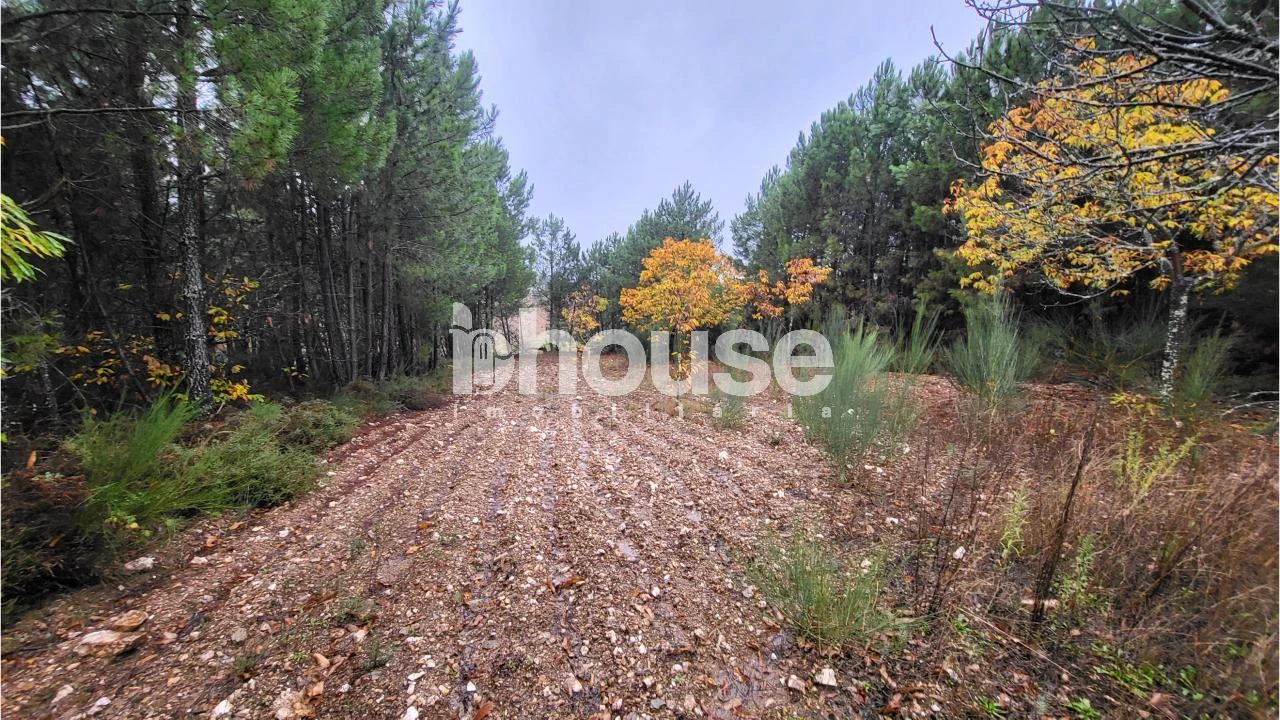 Terreno para Venda em Carrazedo de Montenegro e Curros Foto 5