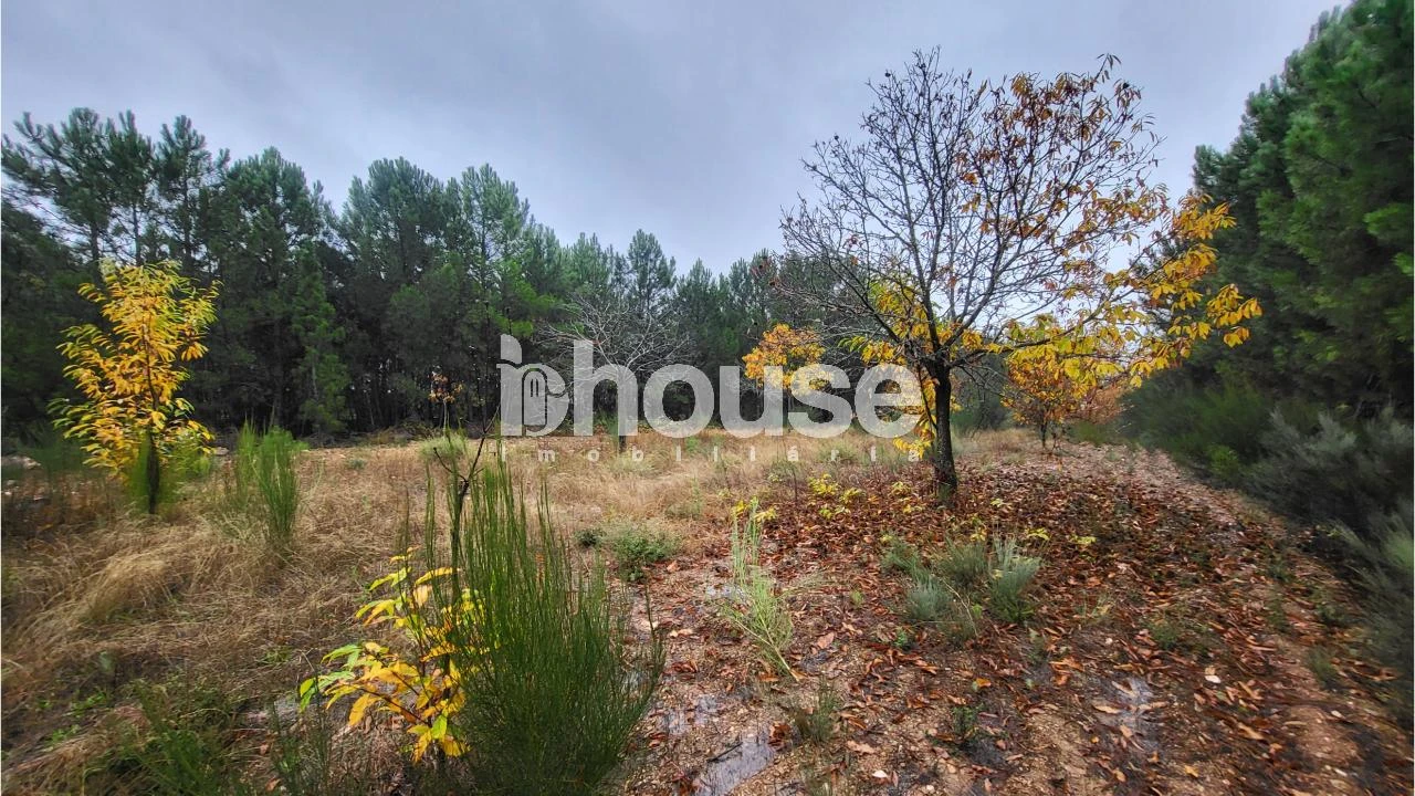 Terreno para Venda em Carrazedo de Montenegro e Curros Foto 6