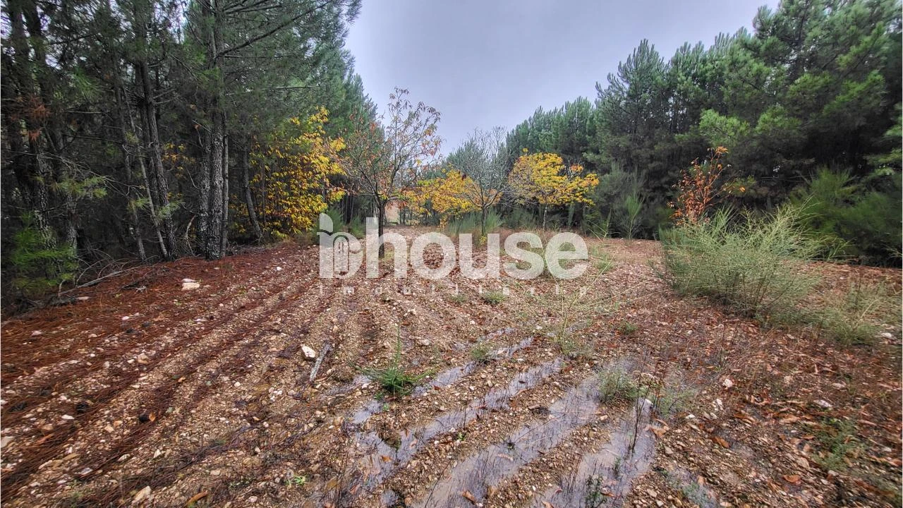 Terreno para Venda em Carrazedo de Montenegro e Curros Foto 7