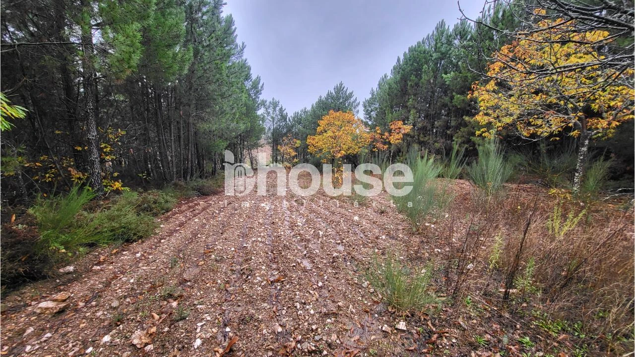 Terreno para Venda em Carrazedo de Montenegro e Curros Foto 8