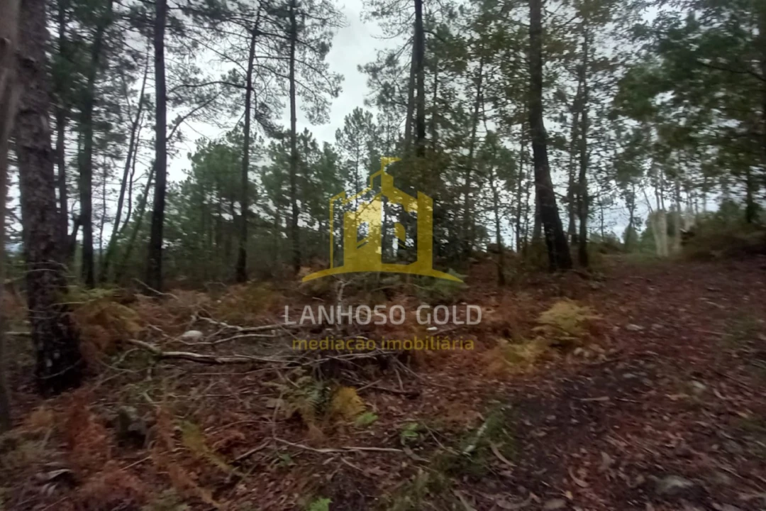 Terreno Agricola ou Rústico para Venda em Cunha Foto 1