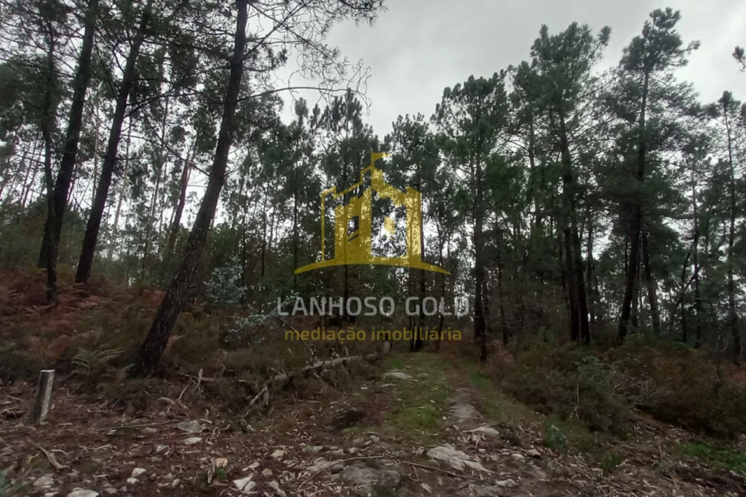 Terreno Agricola ou Rústico para Venda em Cunha Foto 7
