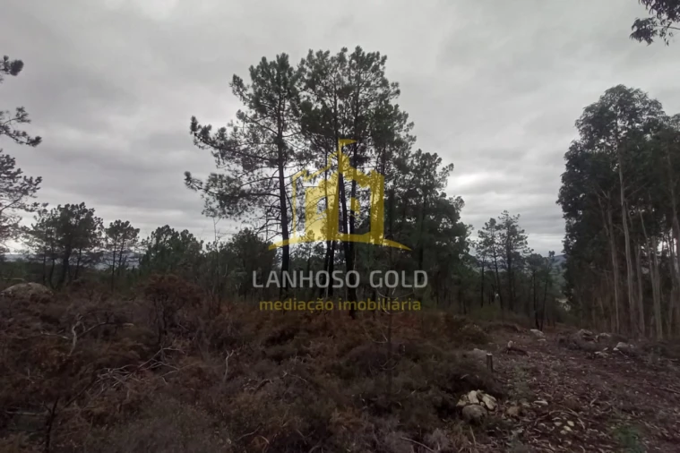 Terreno Agricola ou Rústico para Venda em Cunha Foto 5