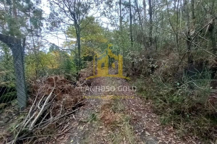 Terreno Agricola ou Rústico para Venda em Cunha Foto 6