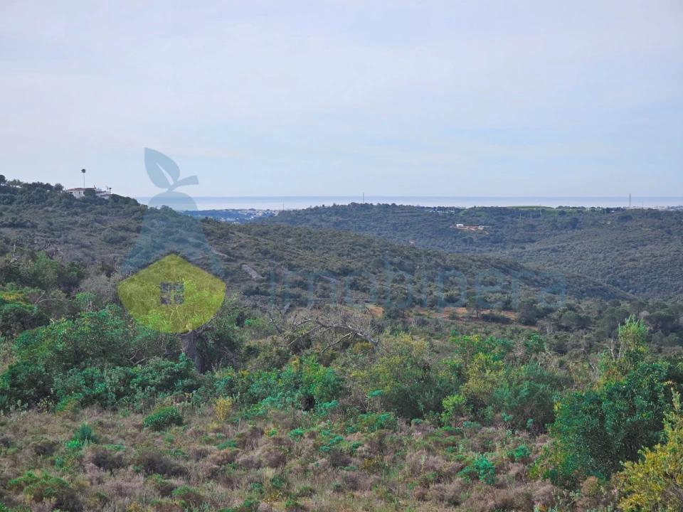 Terreno Agricola ou Rústico para Venda em Paderne Foto 4