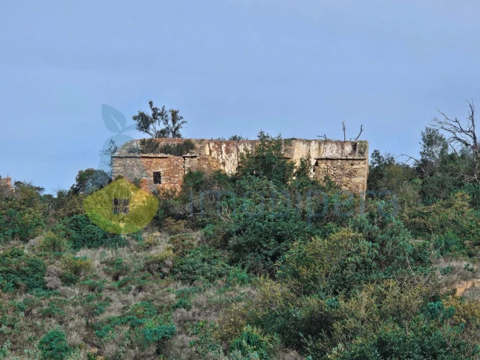 Terreno Agricola ou Rústico para Venda em Paderne Foto 2
