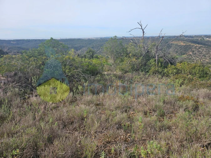 Terreno Agricola ou Rústico para Venda em Paderne Foto 3