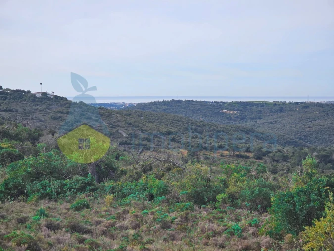 Terreno Agricola ou Rústico para Venda em Paderne Foto 4