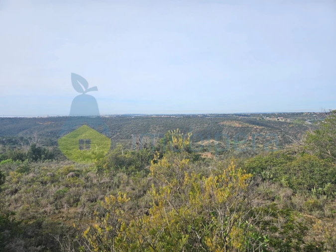 Terreno Agricola ou Rústico para Venda em Paderne Foto 5