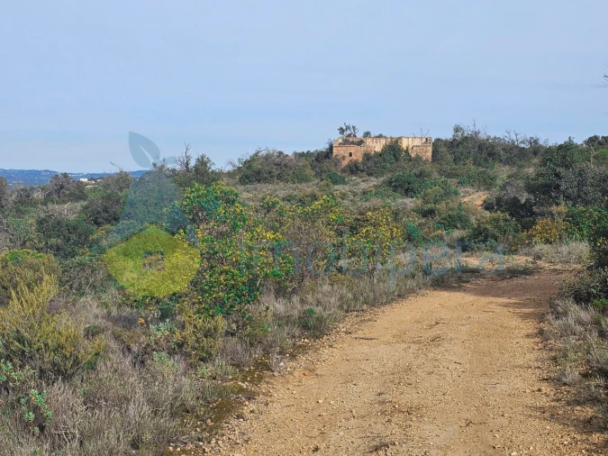 Terreno Agricola ou Rústico para Venda em Paderne Foto 6