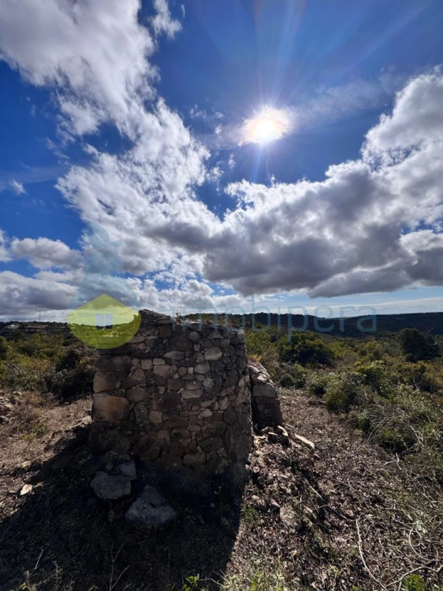 Terreno Agricola ou Rústico para Venda em Paderne Foto 10