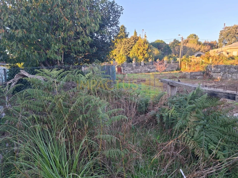 Terreno para Venda em Moreira Foto 4