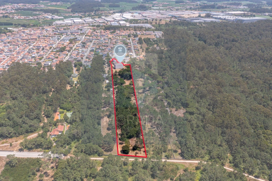 Negócio para Venda em Arvore Foto 4