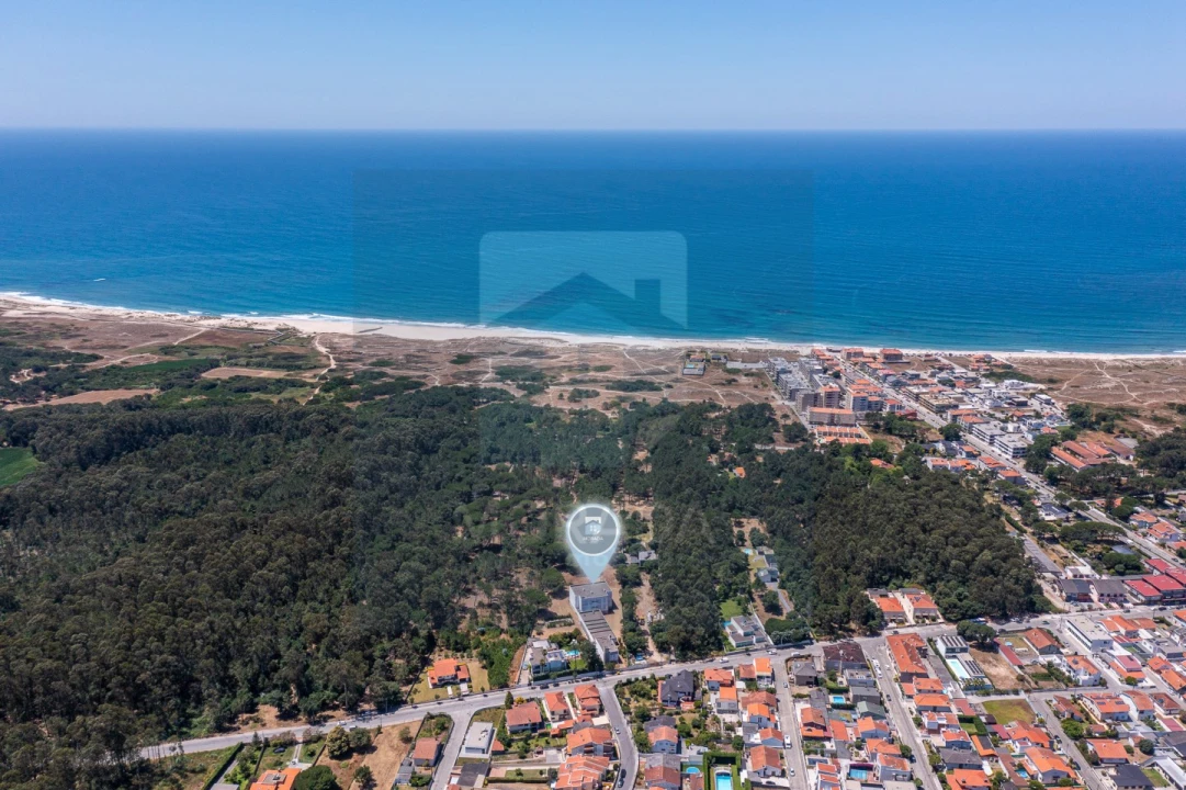 Negócio para Venda em Arvore Foto 5