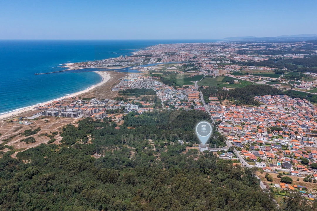 Negócio para Venda em Arvore Foto 6