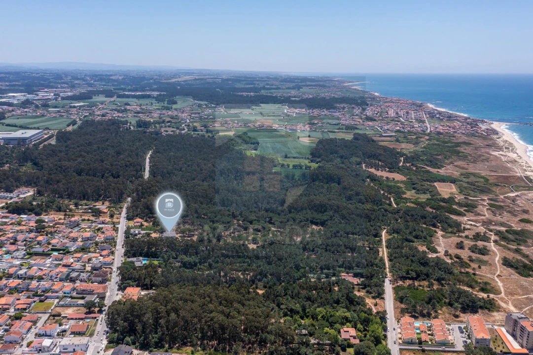 Negócio para Venda em Arvore Foto 7