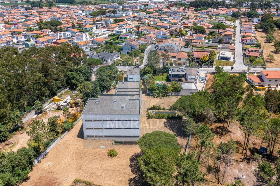 Negócio para Venda em Arvore Foto 8