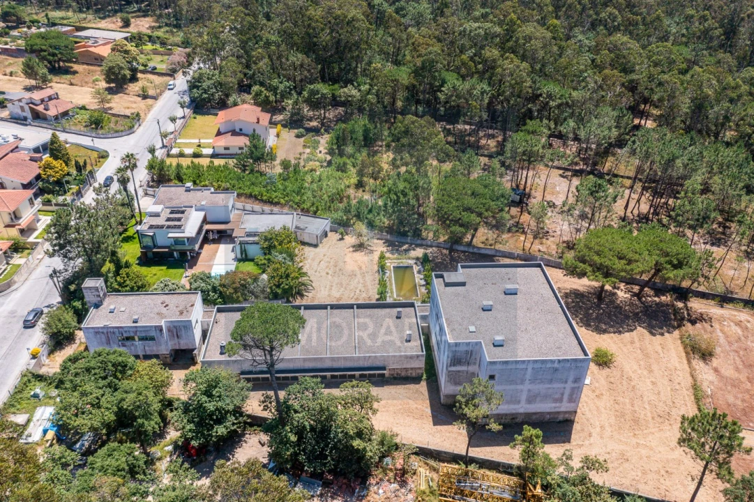 Negócio para Venda em Arvore Foto 9