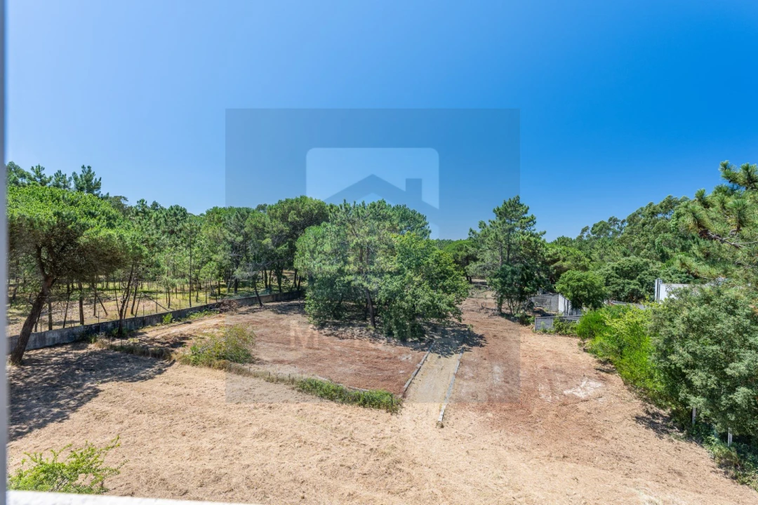 Negócio para Venda em Arvore Foto 16