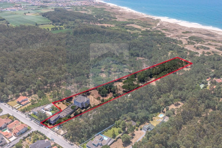 Negócio para Venda em Arvore Foto 2