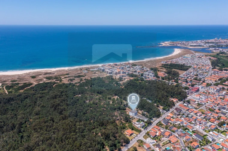 Negócio para Venda em Arvore