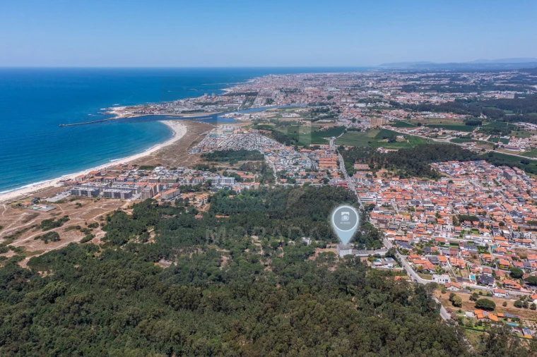 Negócio para Venda em Arvore Foto 6