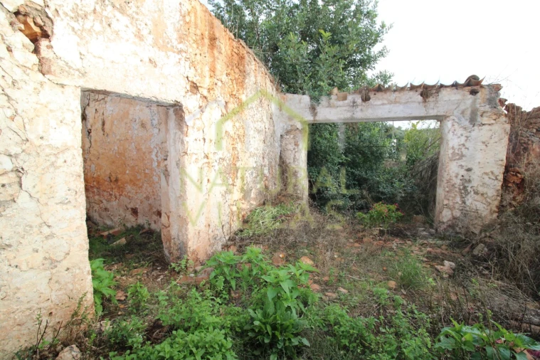 Terreno para Venda em Salir Foto 5