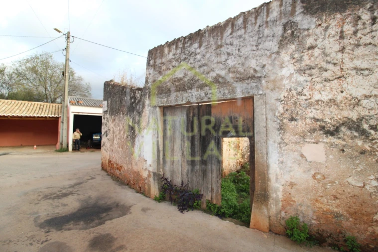 Terreno para Venda em Salir Foto 8
