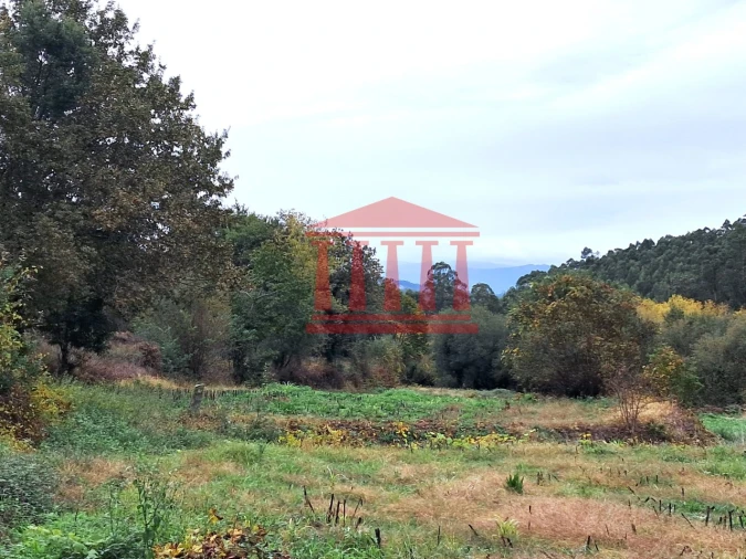 Terreno para Venda em Parada de Gatim