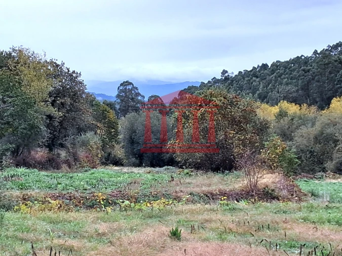 Terreno para Venda em Parada de Gatim Foto 2