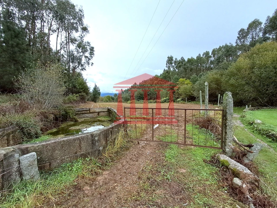 Terreno para Venda em Alheira e Igreja Nova Foto 1