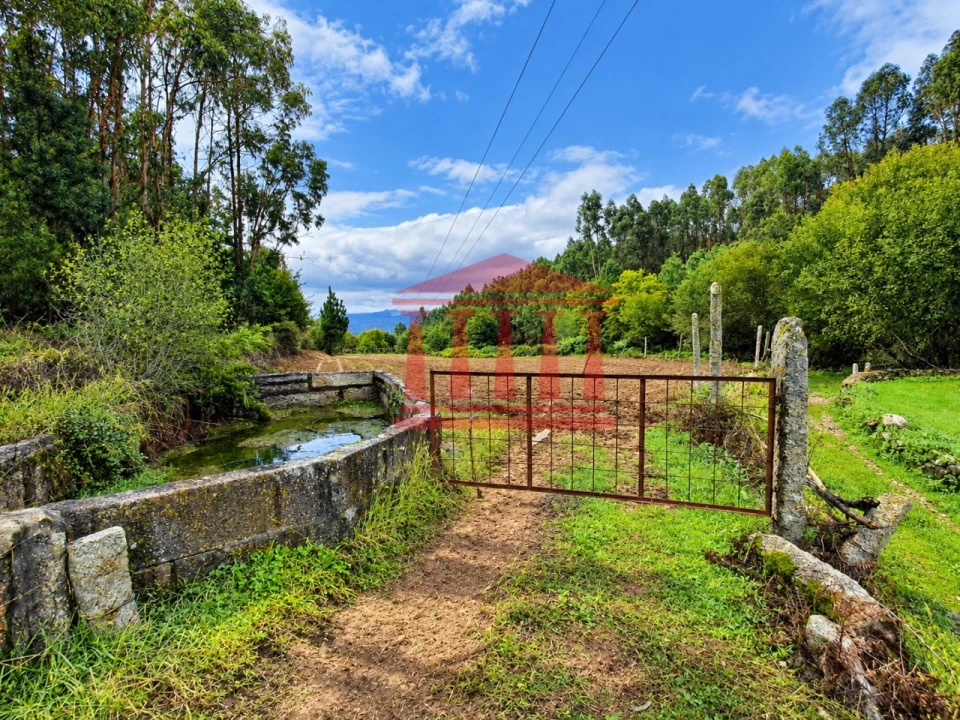 Terreno Agricola ou Rústico para Venda em Alheira e Igreja Nova Foto 1