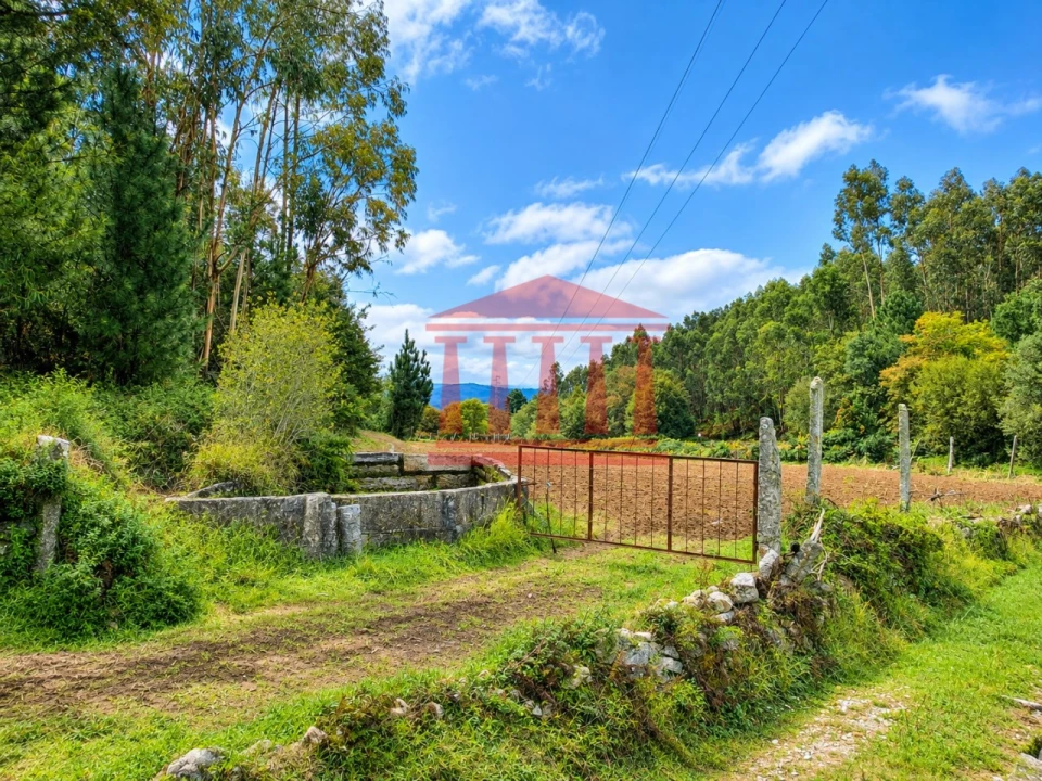 Terreno Agricola ou Rústico para Venda em Alheira e Igreja Nova Foto 3