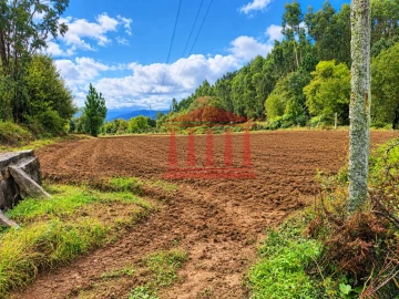 Terreno Agricola ou Rústico para Venda em Alheira e Igreja Nova