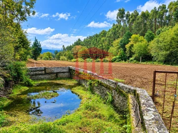 Terreno Agricola ou Rústico para Venda em Alheira e Igreja Nova