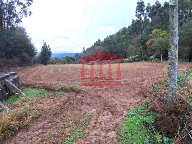 Terreno para Venda em Alheira e Igreja Nova Foto 2