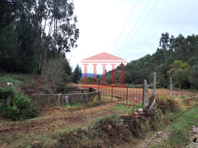 Terreno para Venda em Alheira e Igreja Nova Foto 3