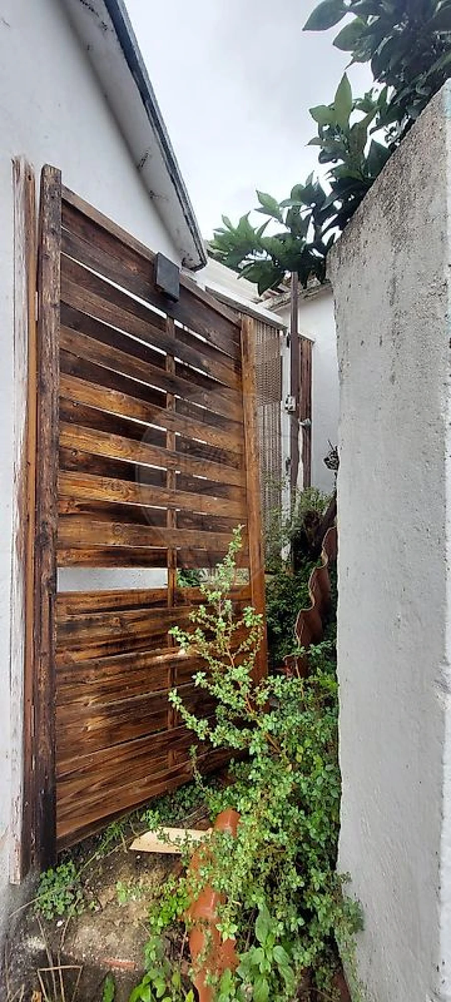 Moradia T2 para Venda em Alguber Foto 4