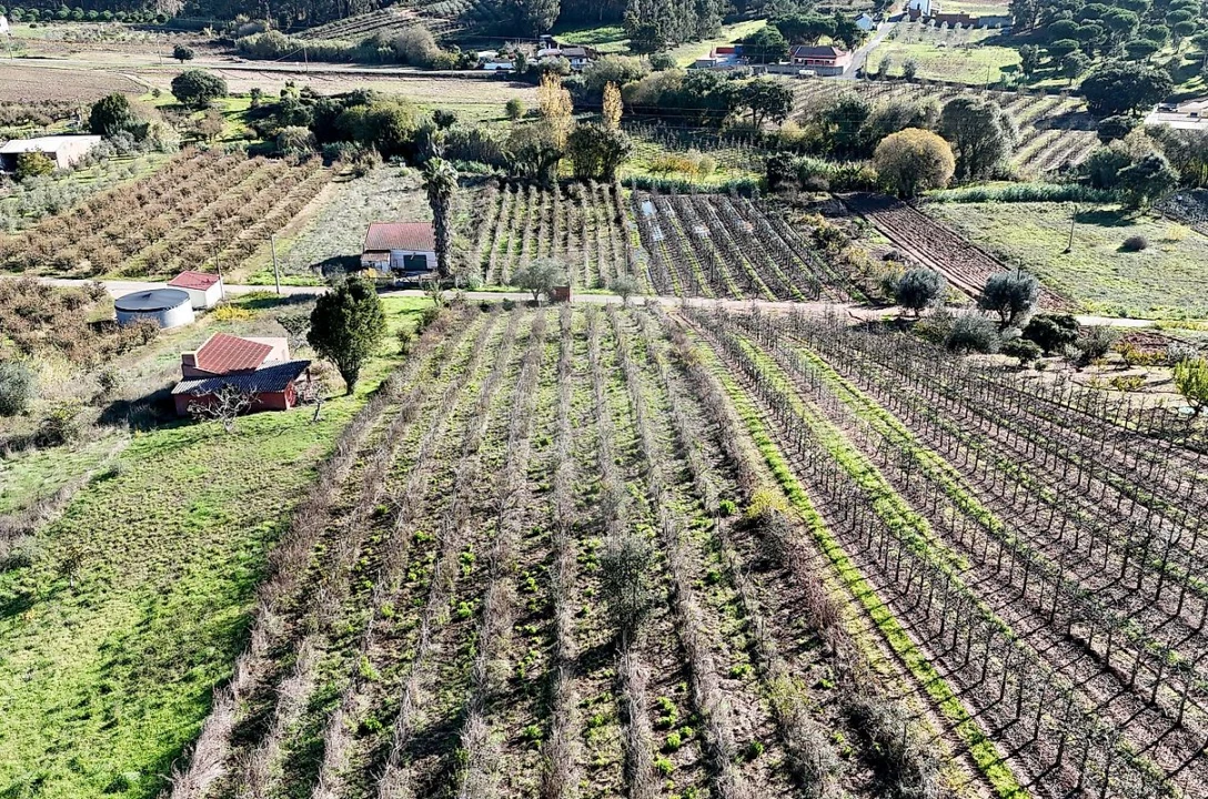 Terreno para Venda em Alguber Foto 5