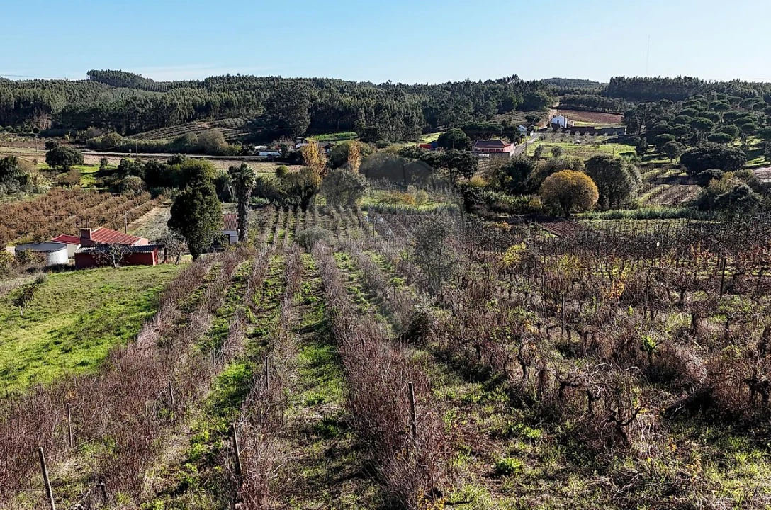 Terreno para Venda em Alguber Foto 4