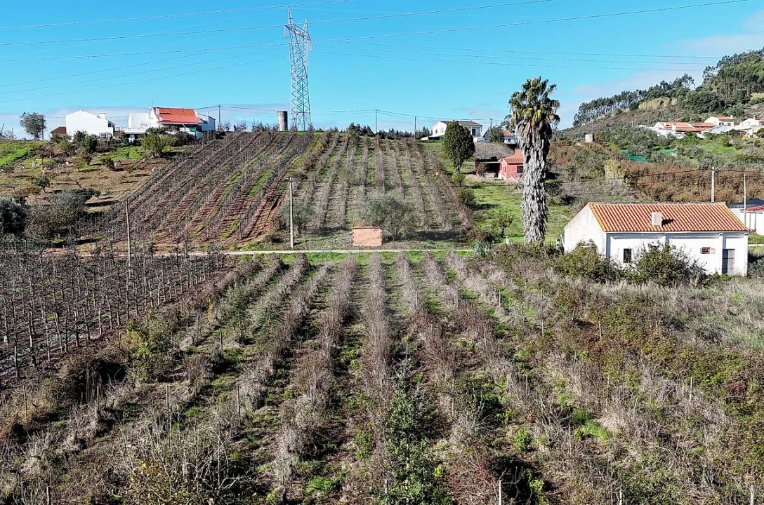 Terreno para Venda em Alguber Foto 6