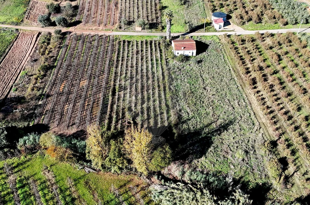 Terreno para Venda em Alguber Foto 7