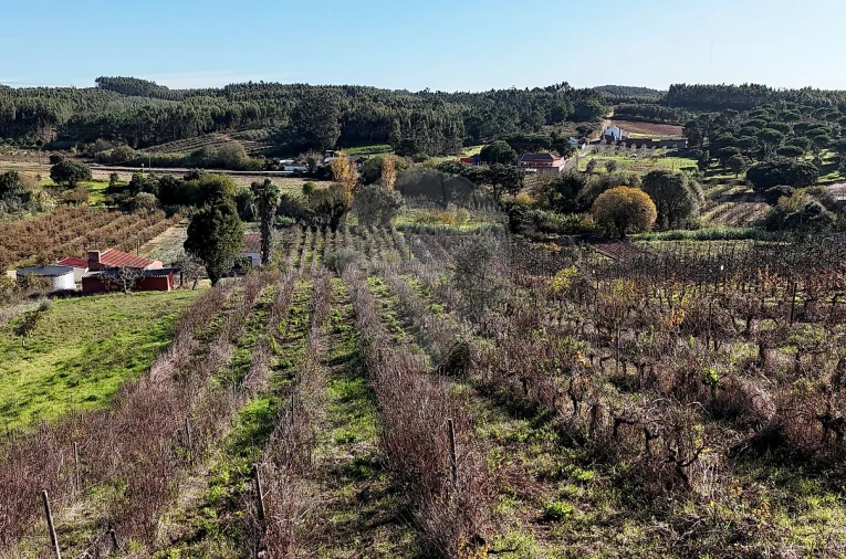 Terreno para Venda em Alguber Foto 4