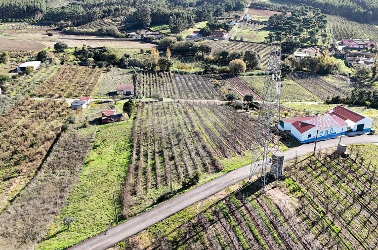 Terreno para Venda em Alguber Foto 3