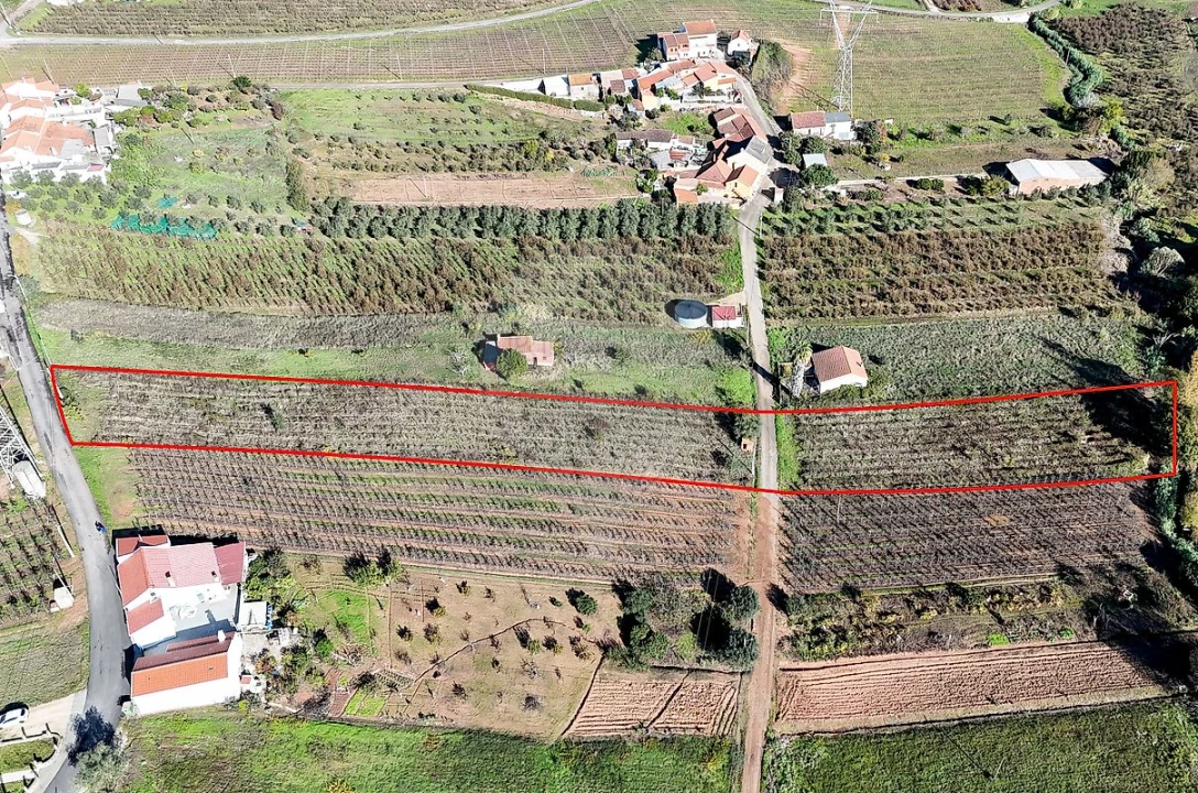 Terreno para Venda em Alguber Foto 1